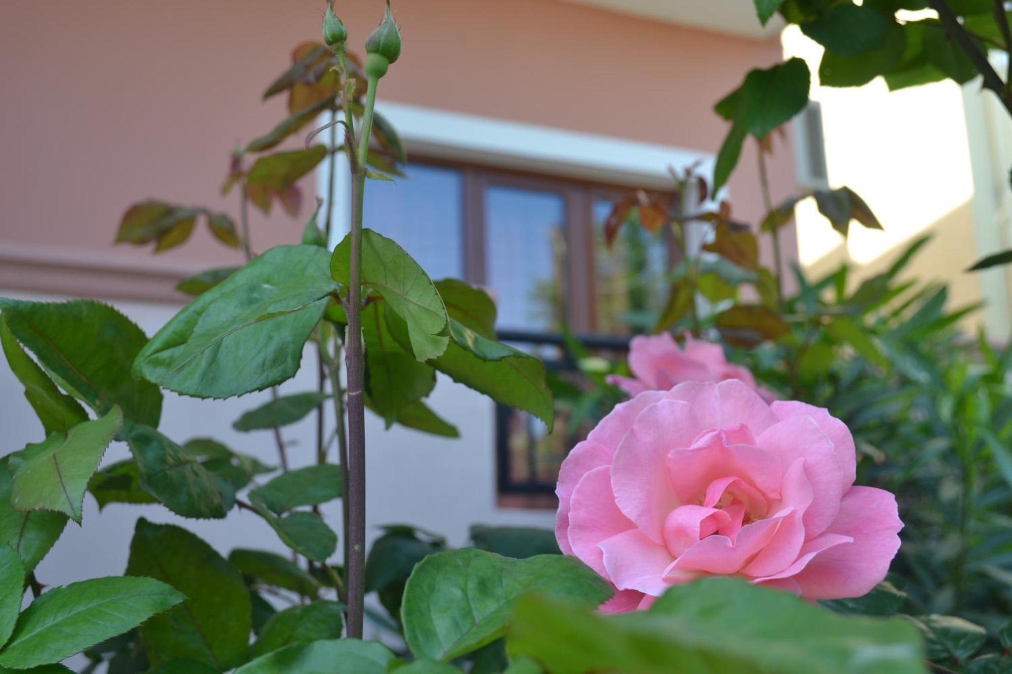 אפרטהוטל Stalós Melina'S House מראה חיצוני תמונה